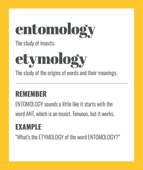 waesy|weasy, n. meanings, etymology and more .